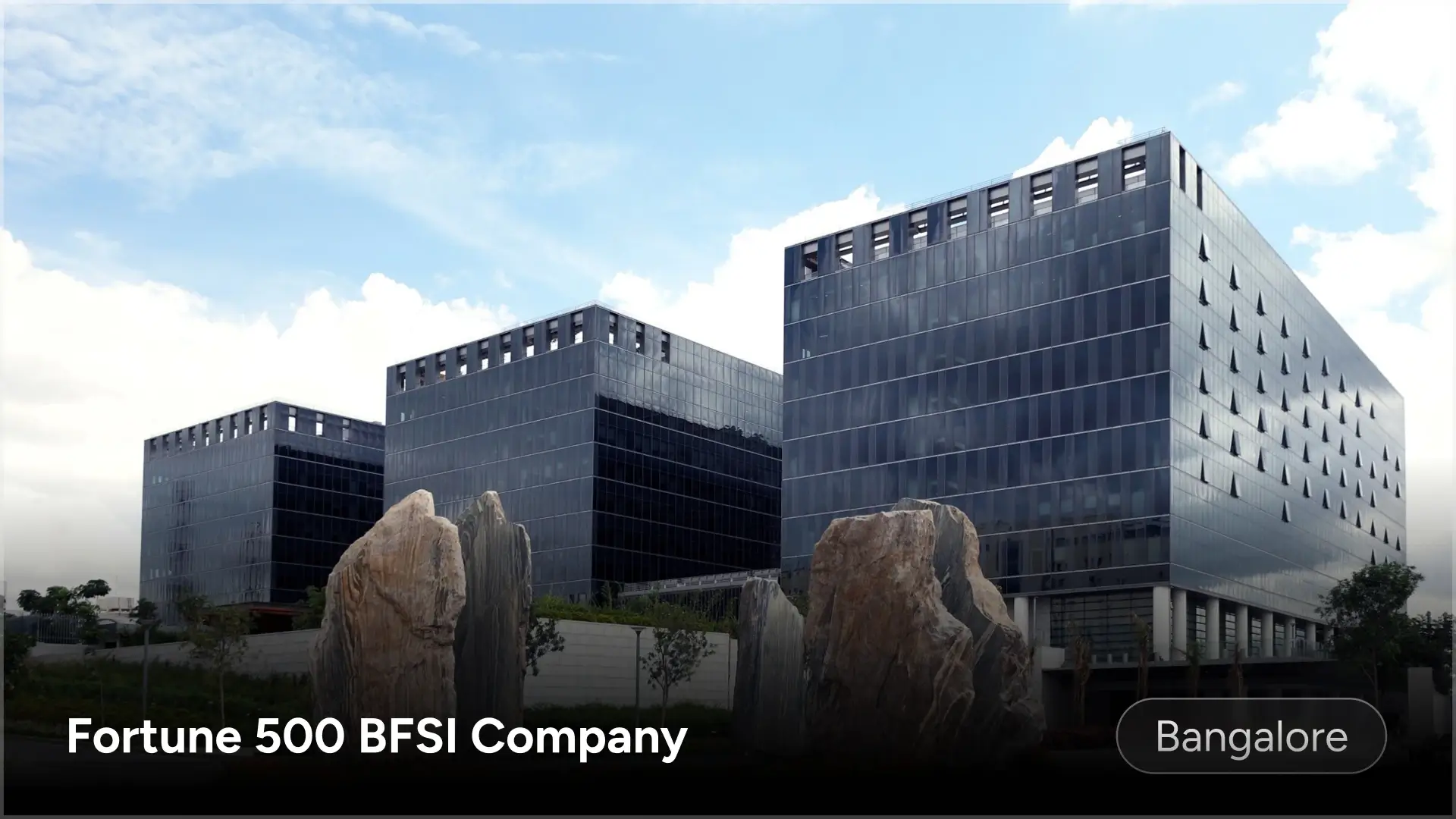 Fortune 500 BFSI Company